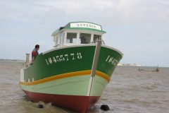 Bateau Asterie