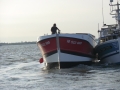 Bateau BADTEMPER