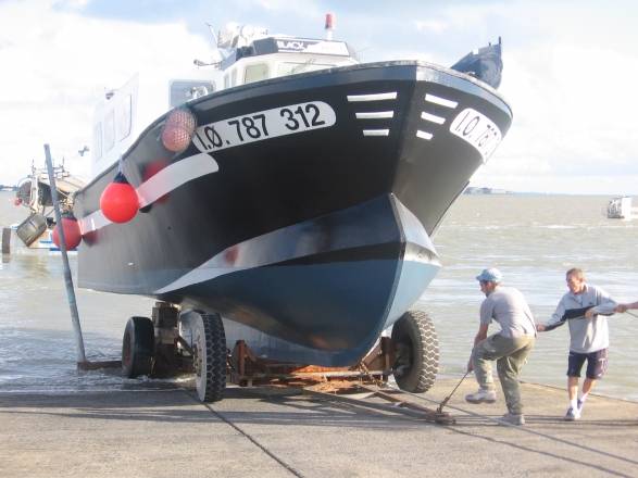 Bateau Black & White