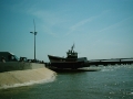 Bateau Dahlia